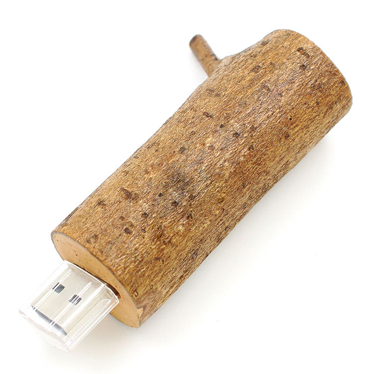 U盘定制 创意竹木U盘 环保植物树杈（A款）优盘 实用个性有创意的东西