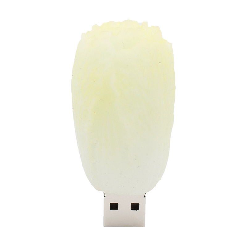 U盘定制 迷你PVC软胶U盘 仿真食物水果蔬菜系列U盘 大白菜优盘 员工小礼品 活动奖品