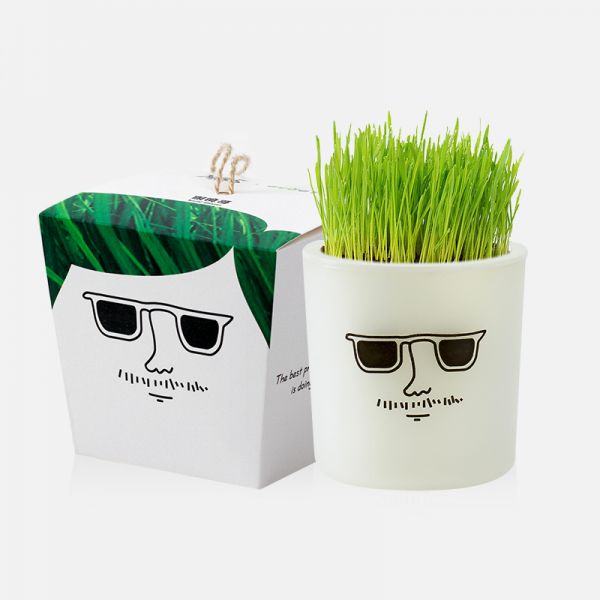 社会人动漫小麦种植盆栽 卡通表情DIY盆栽 10元左右的小礼品
