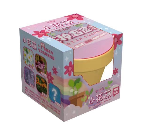 小花农盲盒花卉植物礼品  DIY种植套装  创意植物小礼品