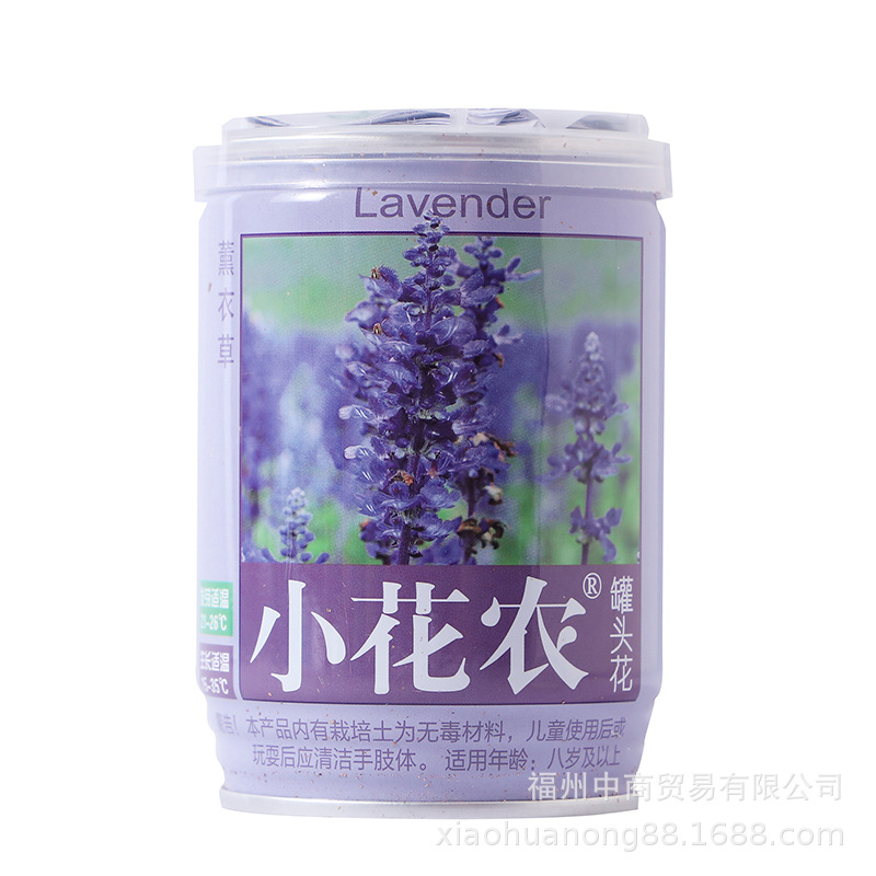 创意办公室罐头花 植物diy盆栽儿童绿植礼品  活动宣传礼品