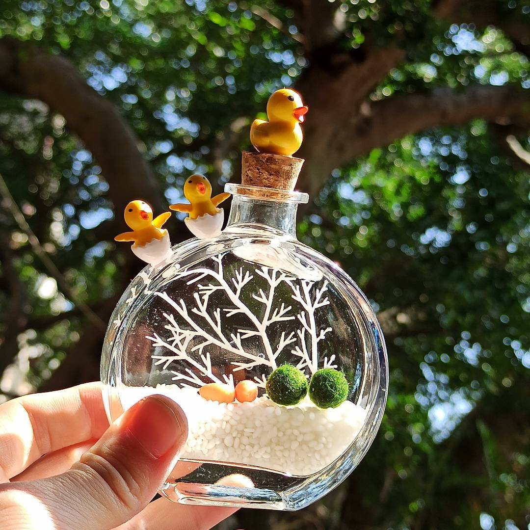香水瓶海藻球 DIY微景观生态瓶水培植物  桌面迷你盆栽礼品
