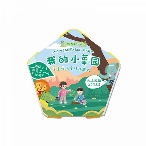 儿童种植盆栽套装水培植物生长观察道具     儿童节礼品推荐