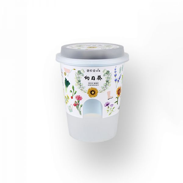 儿童种植自吸水小盆栽花卉观察玩具    送孩子礼品送什么