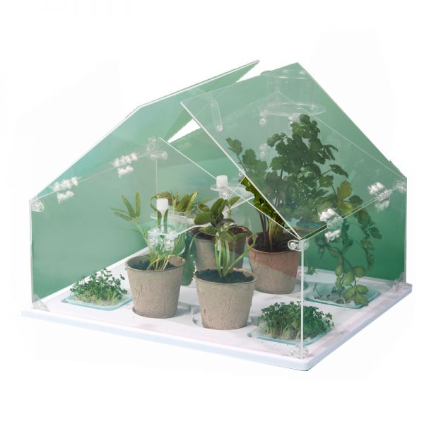 迷你DIY阳光种植房盆栽观察盒    儿童节活动礼品