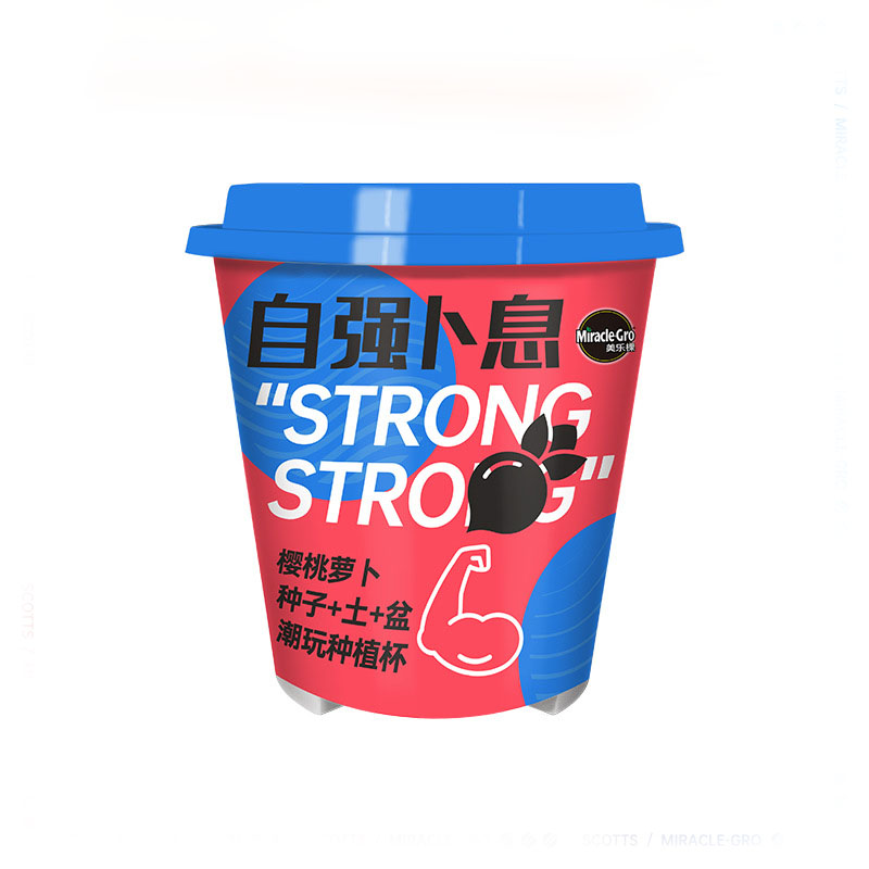 美乐棵潮流种植杯 樱桃番茄桌面绿植种植办公室小盆栽  春天入职礼品
