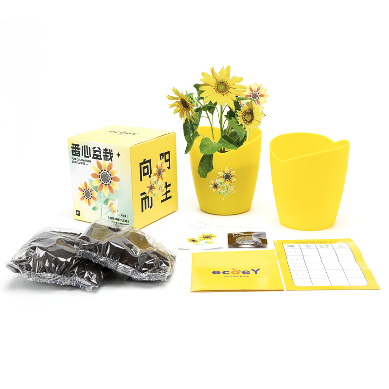DIY绿植物花卉 桌面室内盆栽 员工入职礼品