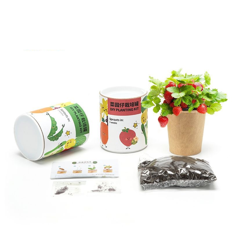 桌面绿植迷你小盆栽 蔬菜水果种植杯 入职礼品