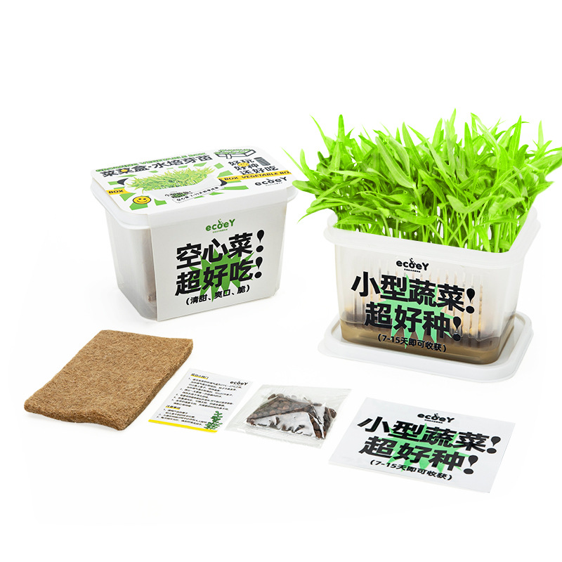 创意DIY水培蔬菜 趣味桌面种植盆栽 春天的礼品