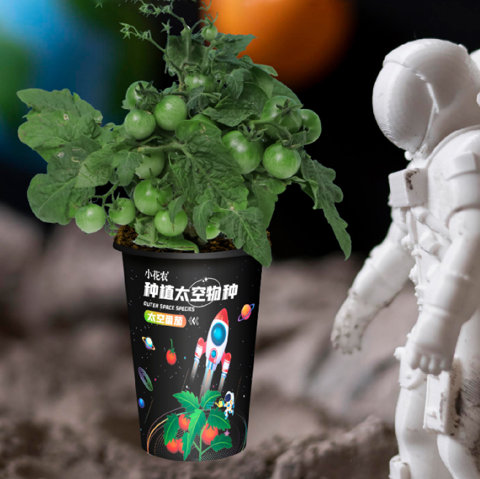 太空种植盲盒 迷你绿植盆栽 入职小礼品