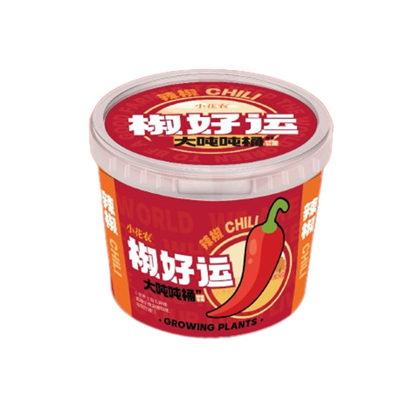 小花农 潮流植物吨吨桶 网红祝福DIY种植盆栽 创意周年礼品