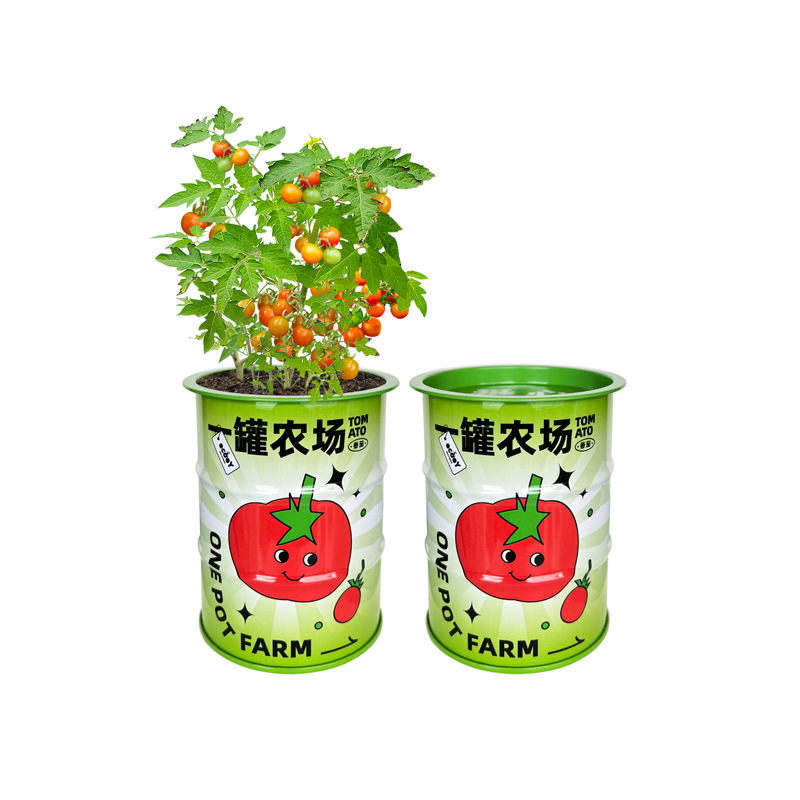 Ecoey 一罐农场创意DIY种植盆栽 趣味植物种植杯 户外活动礼品
