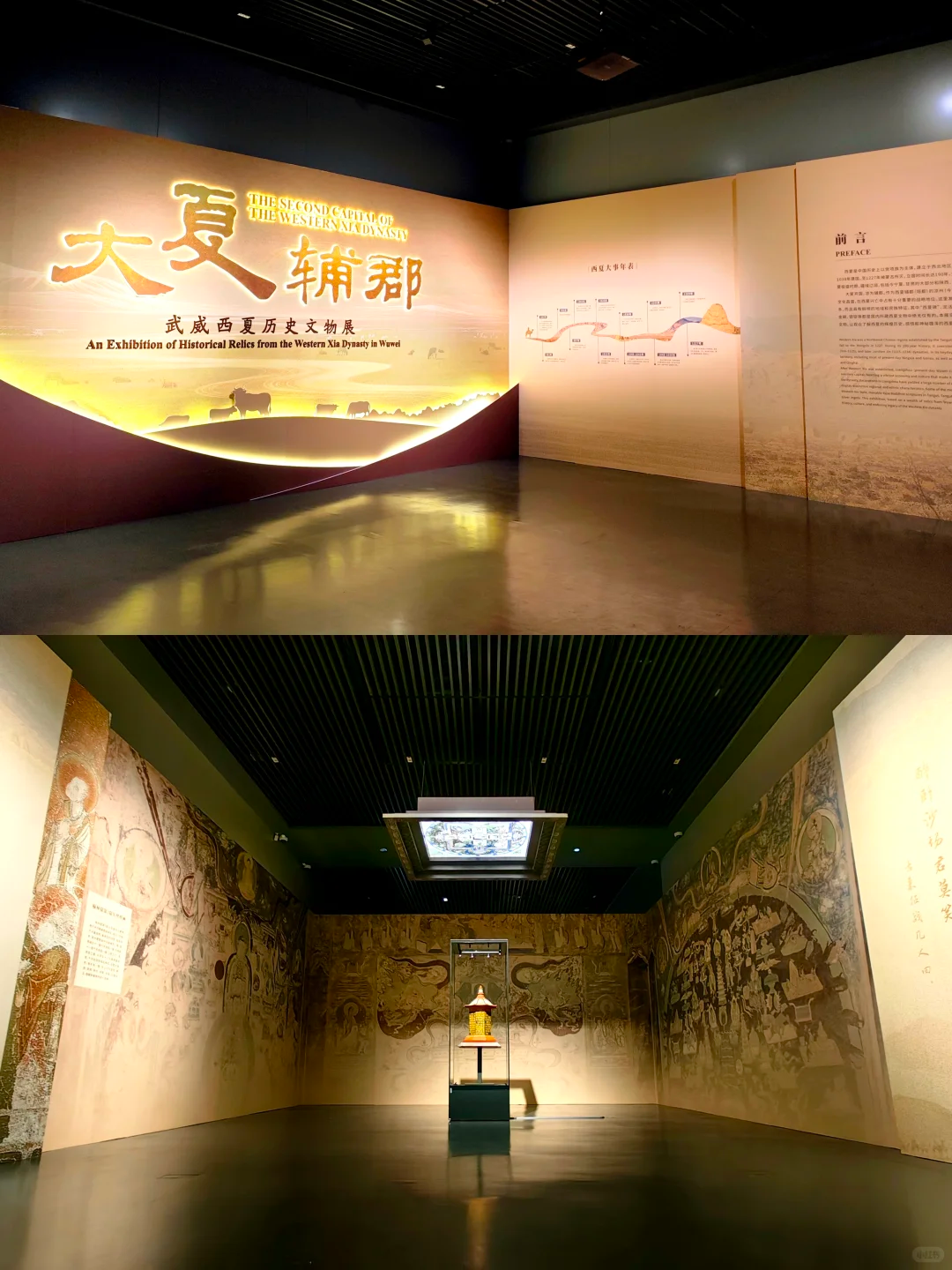 佛山博物馆西夏历史文物展-大观博物馆一日游